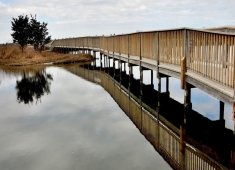 Assateague State Park