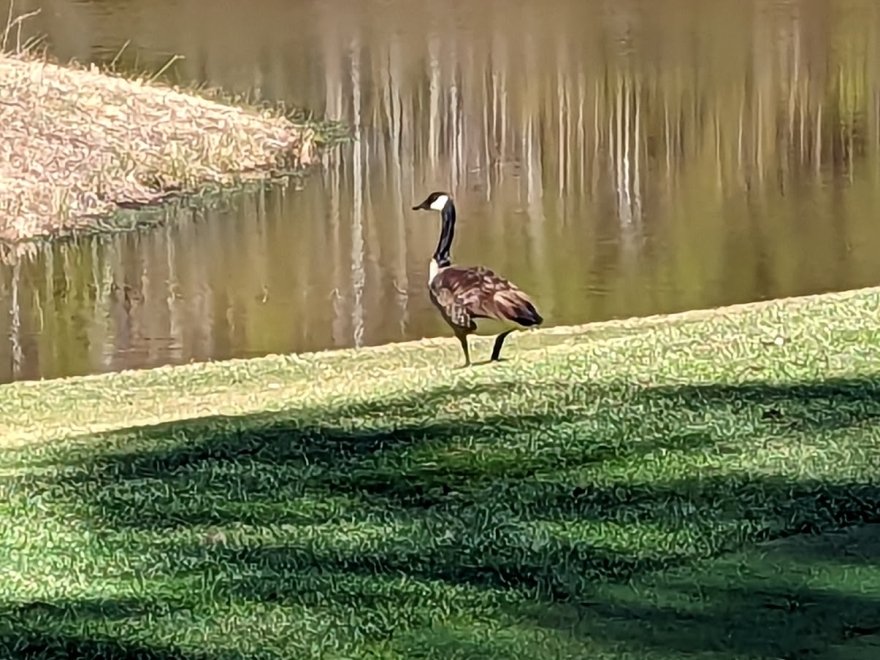 Glen Riddle Golf Club